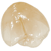 PFM Posterior